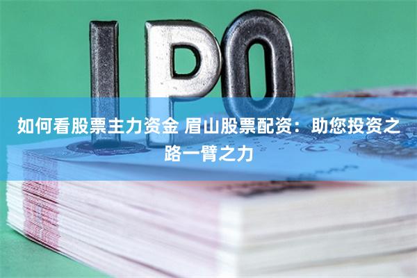 如何看股票主力资金 眉山股票配资：助您投资之路一臂之力