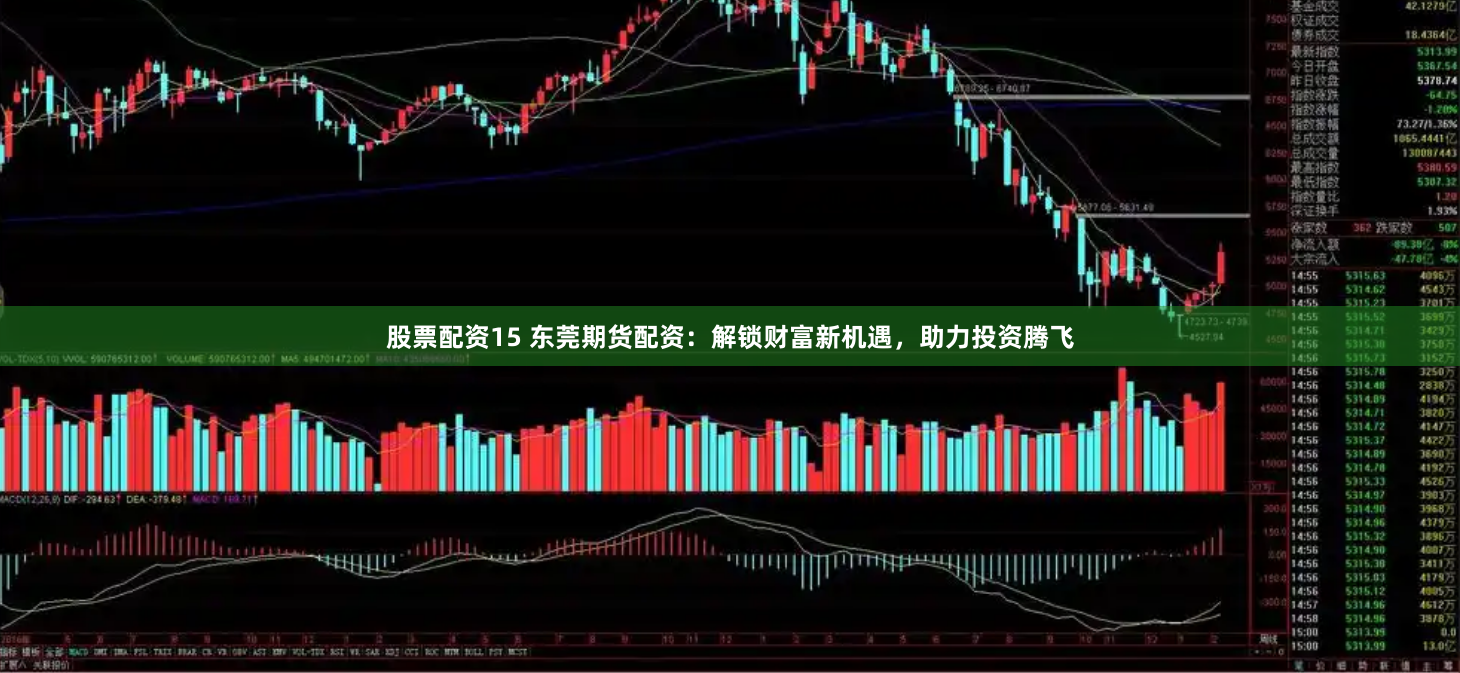 股票配资15 东莞期货配资：解锁财富新机遇，助力投资腾飞