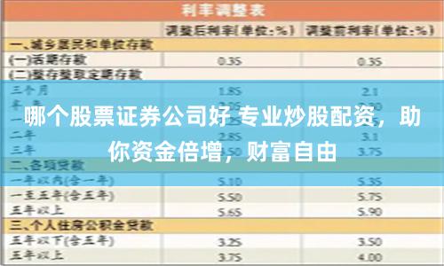 哪个股票证券公司好 专业炒股配资，助你资金倍增，财富自由
