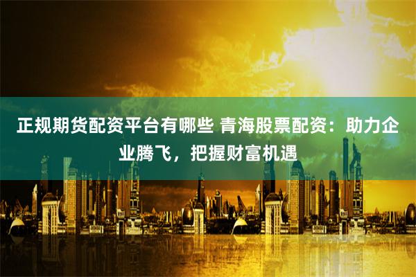 正规期货配资平台有哪些 青海股票配资：助力企业腾飞，把握财富机遇