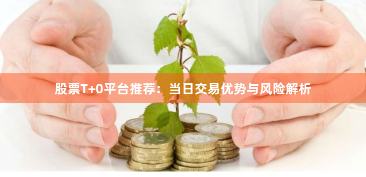 股票T+0平台推荐：当日交易优势与风险解析