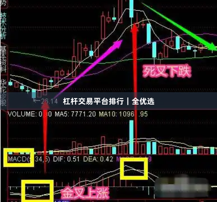 杠杆交易平台排行｜全优选